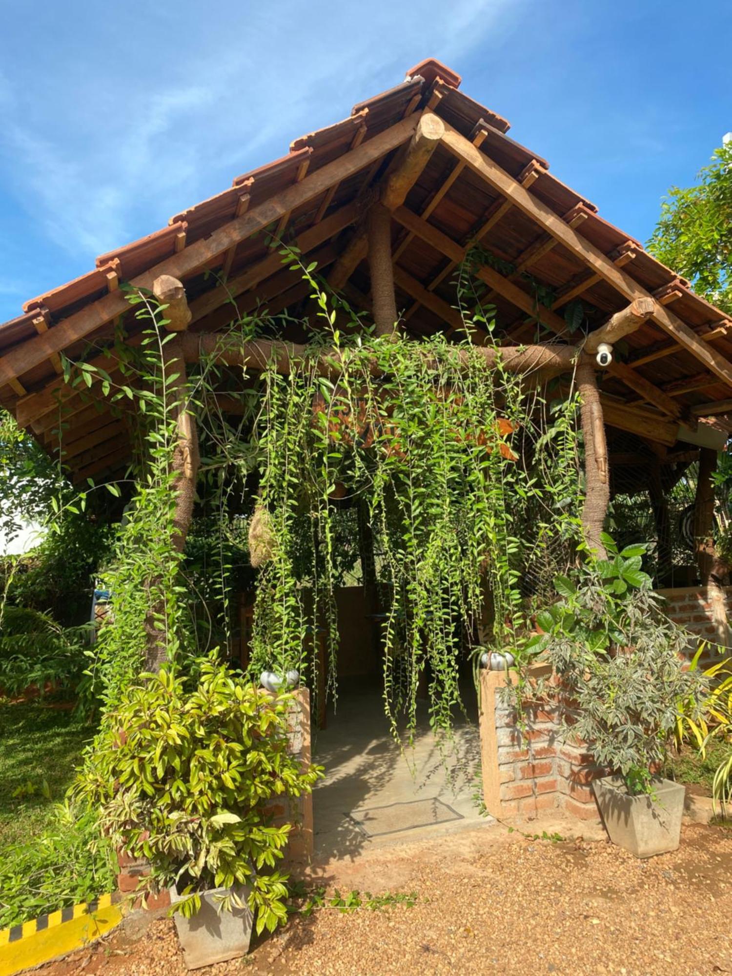 דמבולה Hotel Hanguk Villa מראה חיצוני תמונה